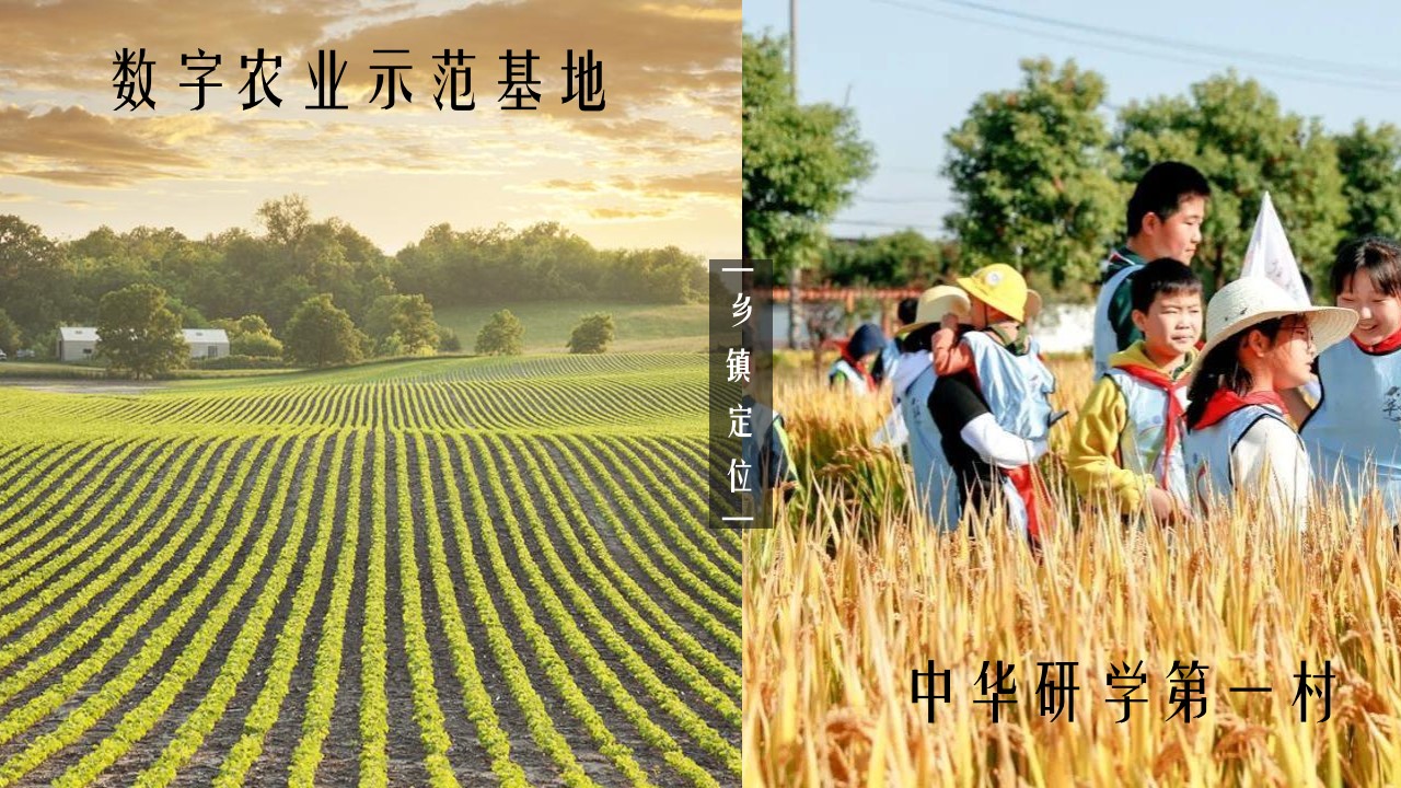 1665661297 42598eae9c79557 - 【方案】2022中国农民丰收节（庆丰收·迎盛会主题）活动策划方案-75P