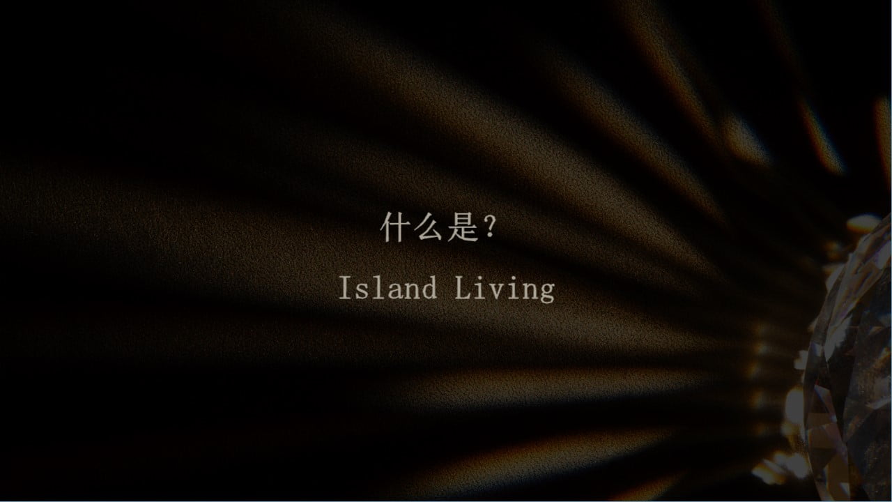 1672368327 dcfa053177d01f6 - xx地产高端大气黑金示范区亮相活动方案