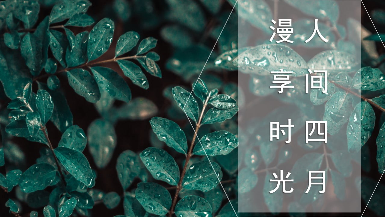 1674961485 561051a510bdcc5 - 保利清明活动方案