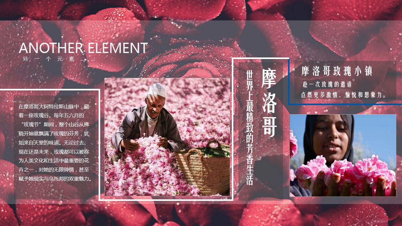 1675325690 0f927bc20e699d3 - （涂鸦街头集装箱）北欧摩洛哥玫瑰小镇特色商业街包装