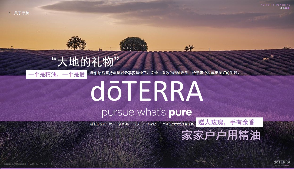 1675440630 42598eae9c79557 - 多特瑞领袖高峰会活动策划方案-99P