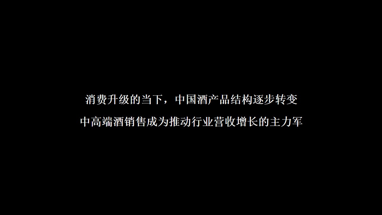 1675519924 561051a510bdcc5 - 酒类品牌年度营销推广方案-134P