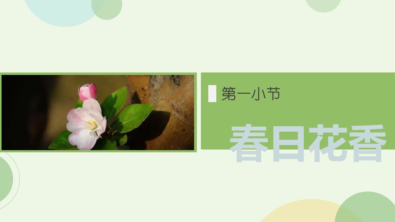 1676428952 b207e1016ea0a91 - 春季暖场活动创意集锦