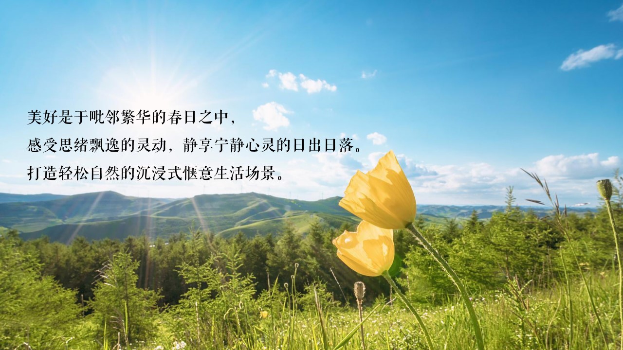 1676874380 1679091c5a880fa - 地产项目春季4月月度暖场（春日盛情 漫享时光主题）活动策划方案-34P
