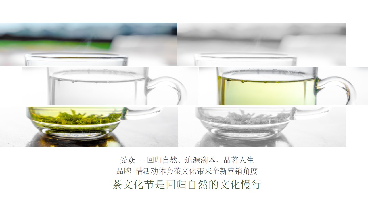 1676875569 b207e1016ea0a91 - 乡村文旅景区春季茶文化节乡村文化旅游节