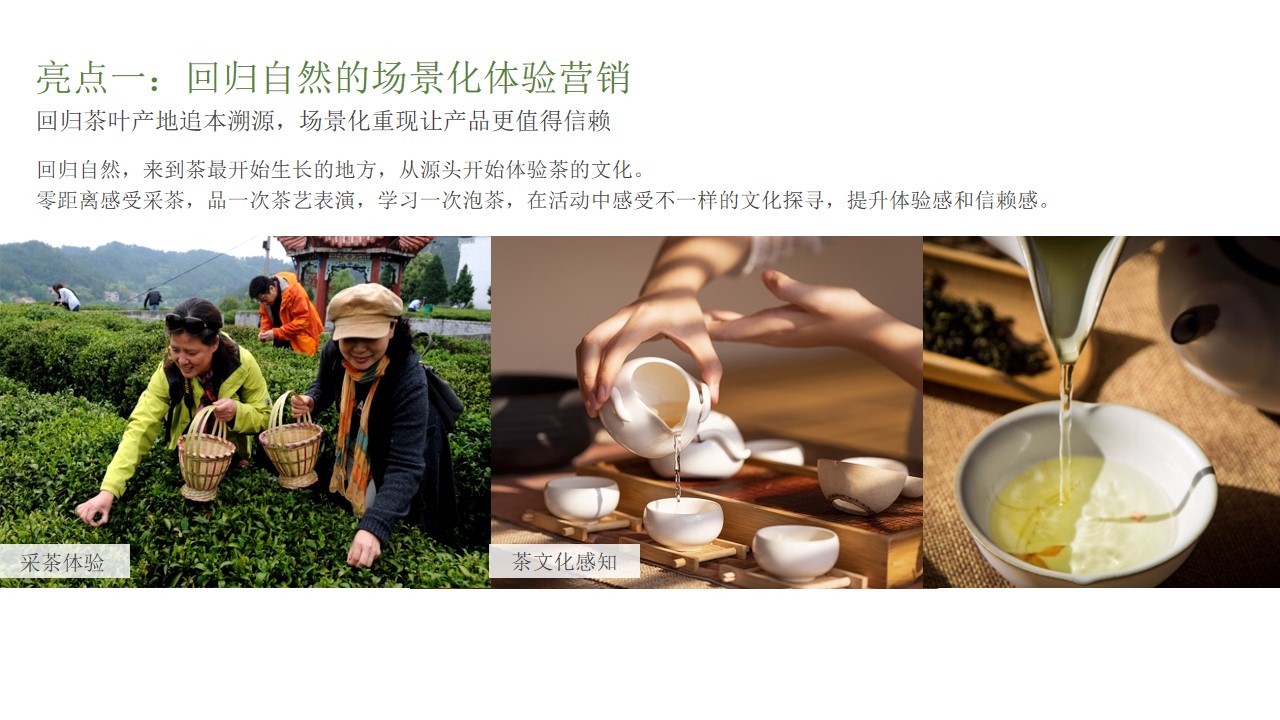 1676875575 0f927bc20e699d3 - 乡村文旅景区春季茶文化节乡村文化旅游节
