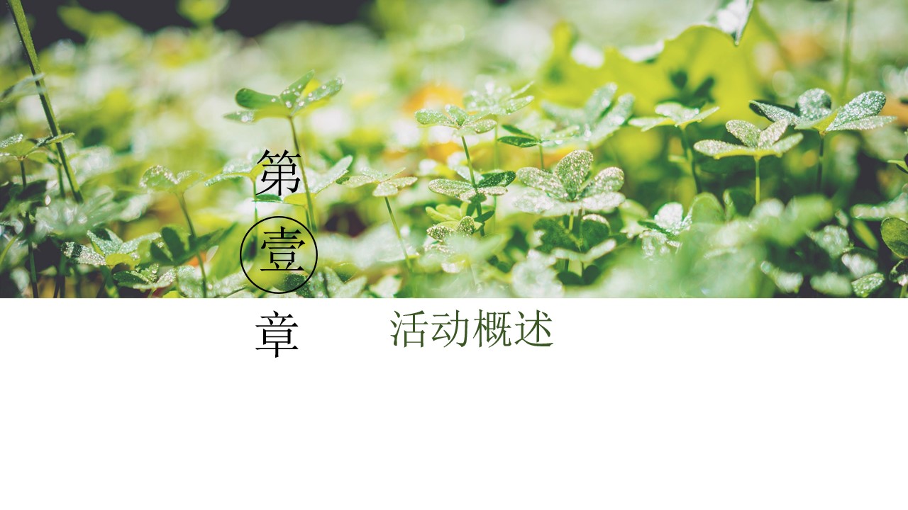 1676949620 b207e1016ea0a91 - xxx项目女神季花艺暖场活动方案