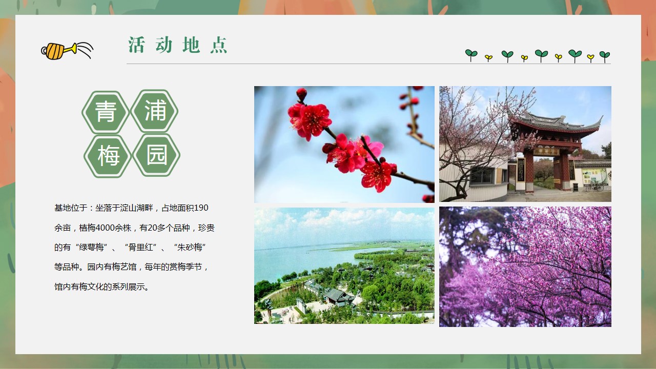 1677035174 dcfa053177d01f6 - 3月12日植树活动策划方案