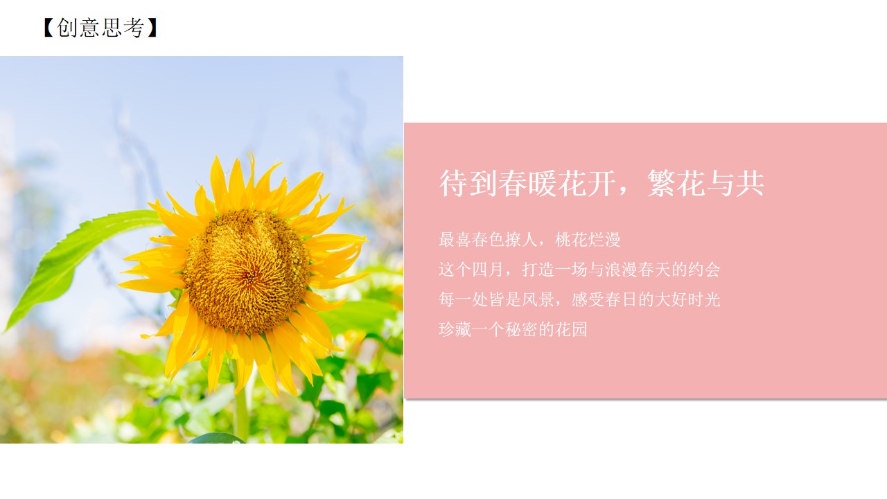 1677465751 50e3092c82ce78d - 春季周末暖场活动策划方案