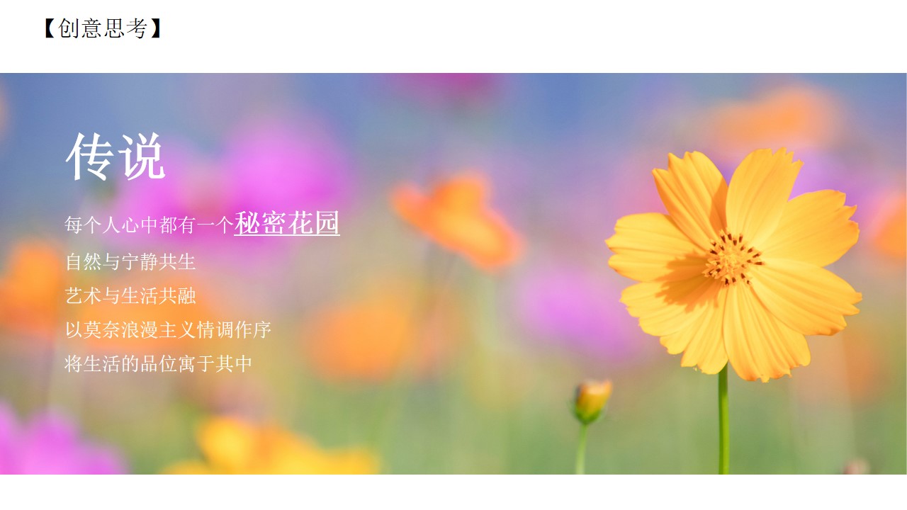 1677465753 dcfa053177d01f6 - 春季周末暖场活动策划方案