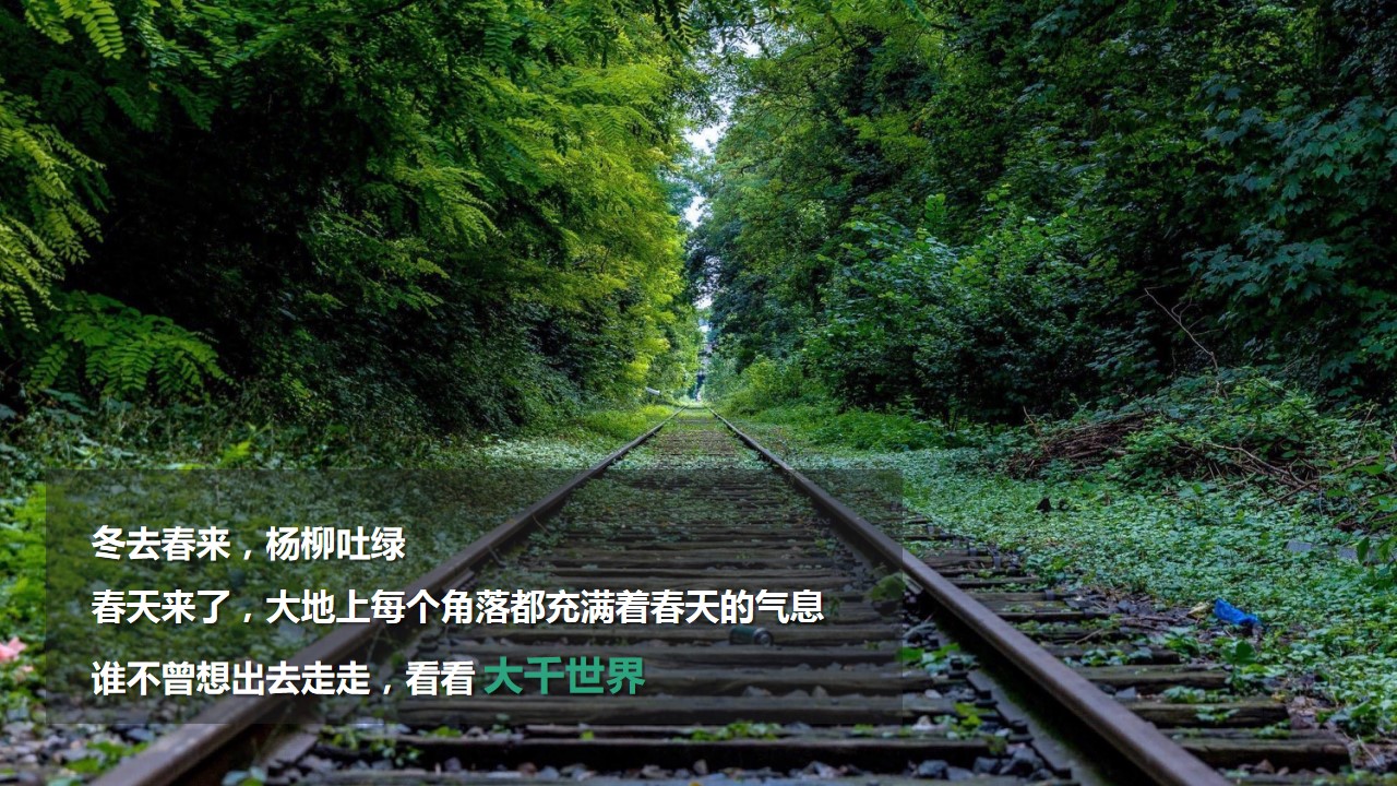 1677725486 0f927bc20e699d3 - 绿色春天四季优美年度盛典活动策划方案