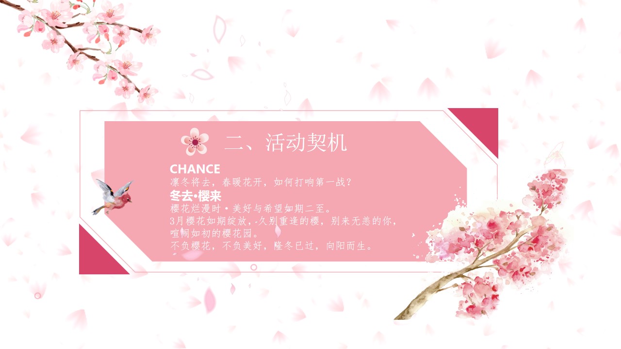1678169180 50e3092c82ce78d - 人文白公，樱你而美策划案