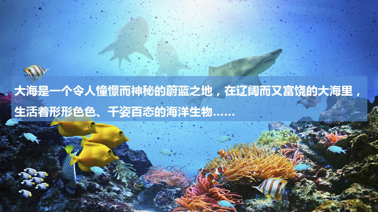 1678858568 dcfa053177d01f6 - 海洋王国·五一鲸现地产项目-45P