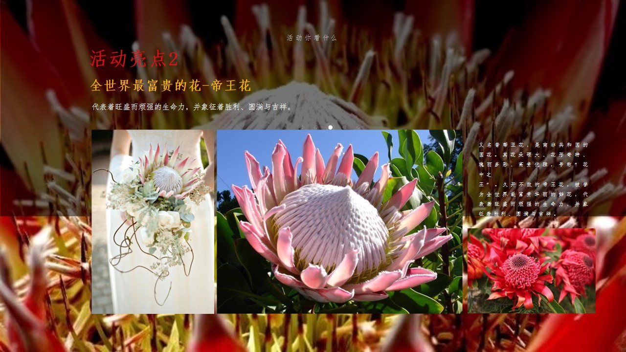 1679299131 0f927bc20e699d3 - 华润·万橡府实景园林盛大开放活动策划方案