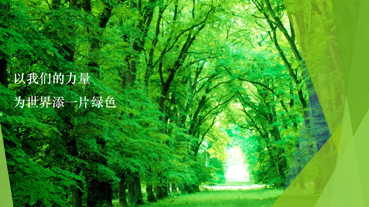 1680358774 a5edf932cf9929b - 企业植树节团队建设（载种希望 共筑美好主题）活动策划方案-20P