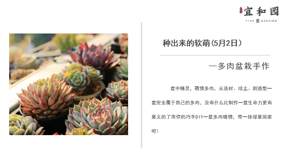 1681454165 0f927bc20e699d3 - 永同昌宜和园五一暖场活动策划方案