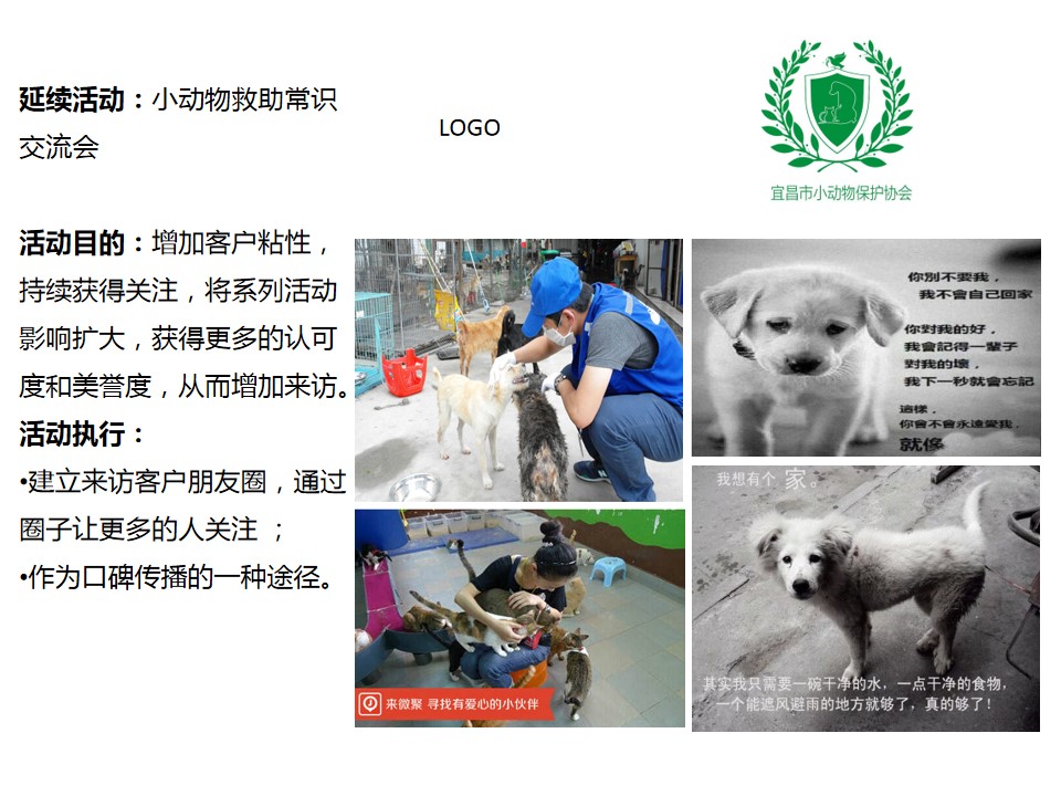 1682406140 0f927bc20e699d3 - 五一萌宠嘉年华系列活动方案