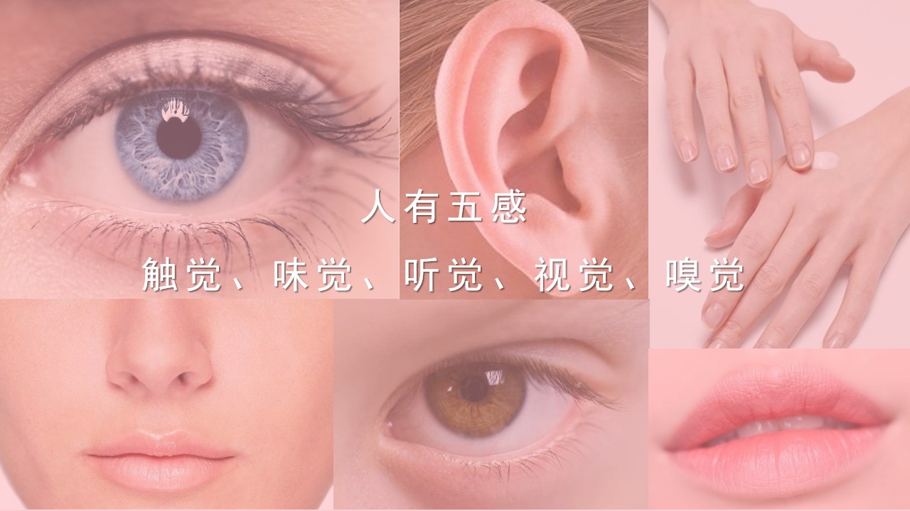 1683535998 50e3092c82ce78d - 气味情报局-情人节活动提案