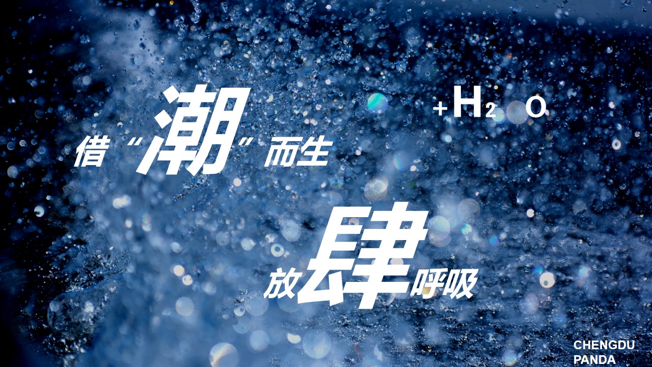 1683696556 dcfa053177d01f6 - 熊猫有氧音乐节方案