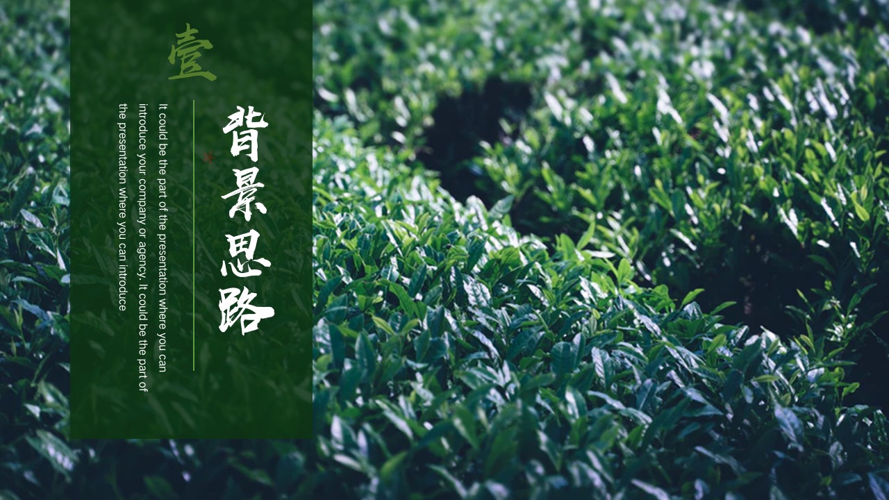 1684827591 50e3092c82ce78d - 某某黑茶产业品牌推广营销方案