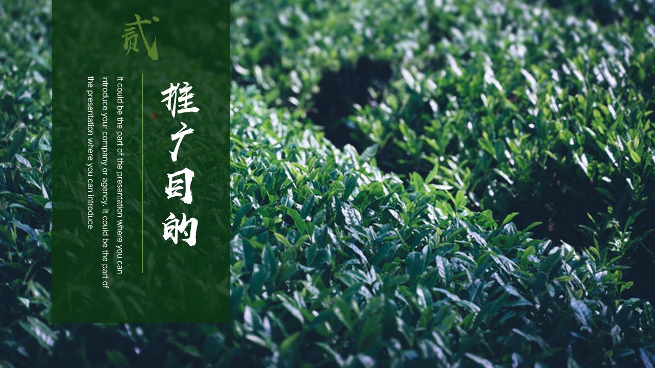 1684827604 b207e1016ea0a91 - 某某黑茶产业品牌推广营销方案