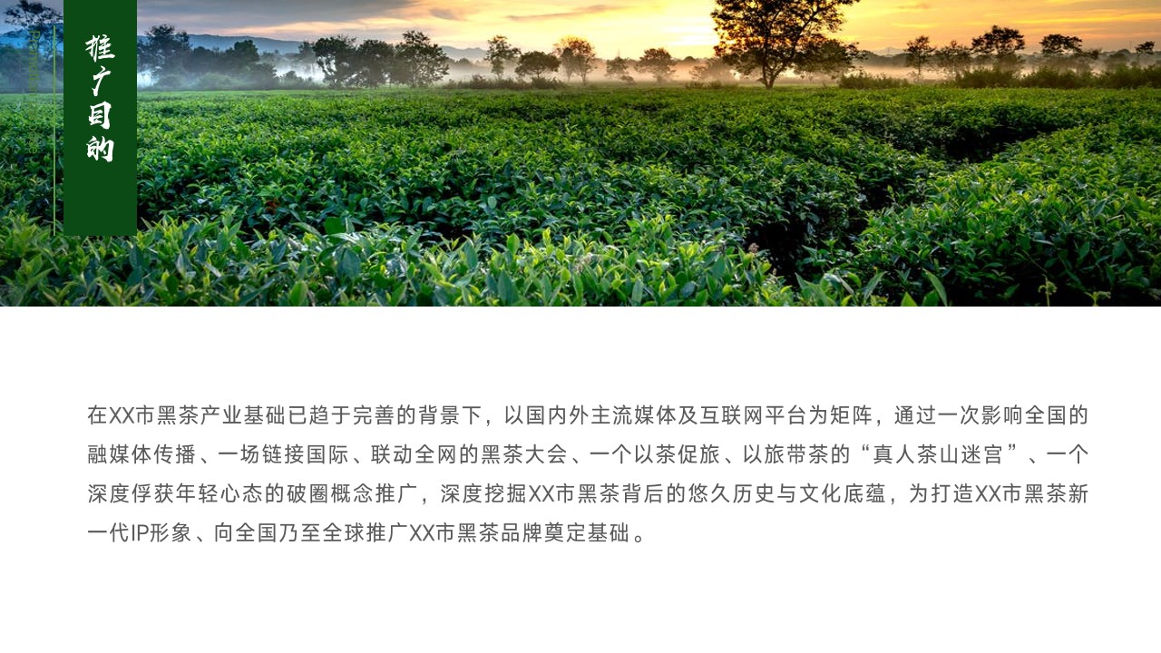 1684827608 42598eae9c79557 - 某某黑茶产业品牌推广营销方案