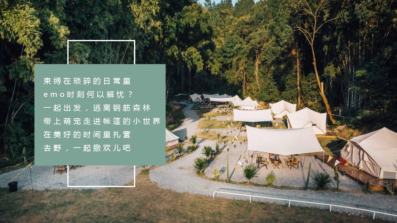 1685006656 b207e1016ea0a91 - 萌宠户外露营交友派对活动策划案