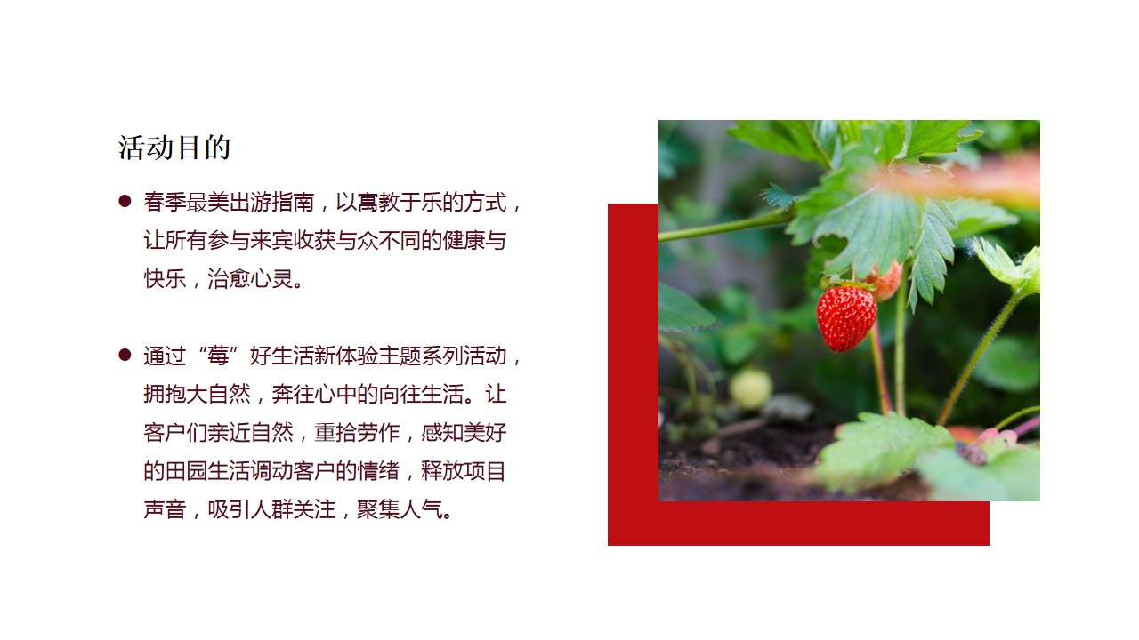 1685347487 a226fd4163bf13c - 草莓采摘方案