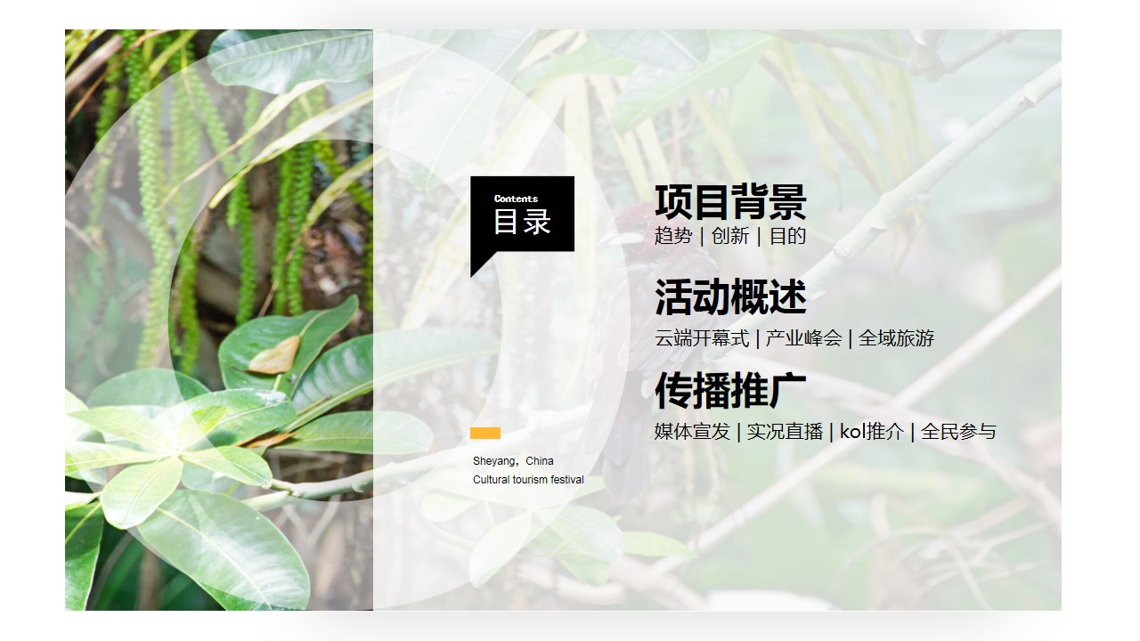 1685347830 a5edf932cf9929b - 第五届中国菊花文化艺术节-艺术节区域节庆产业节庆文化节