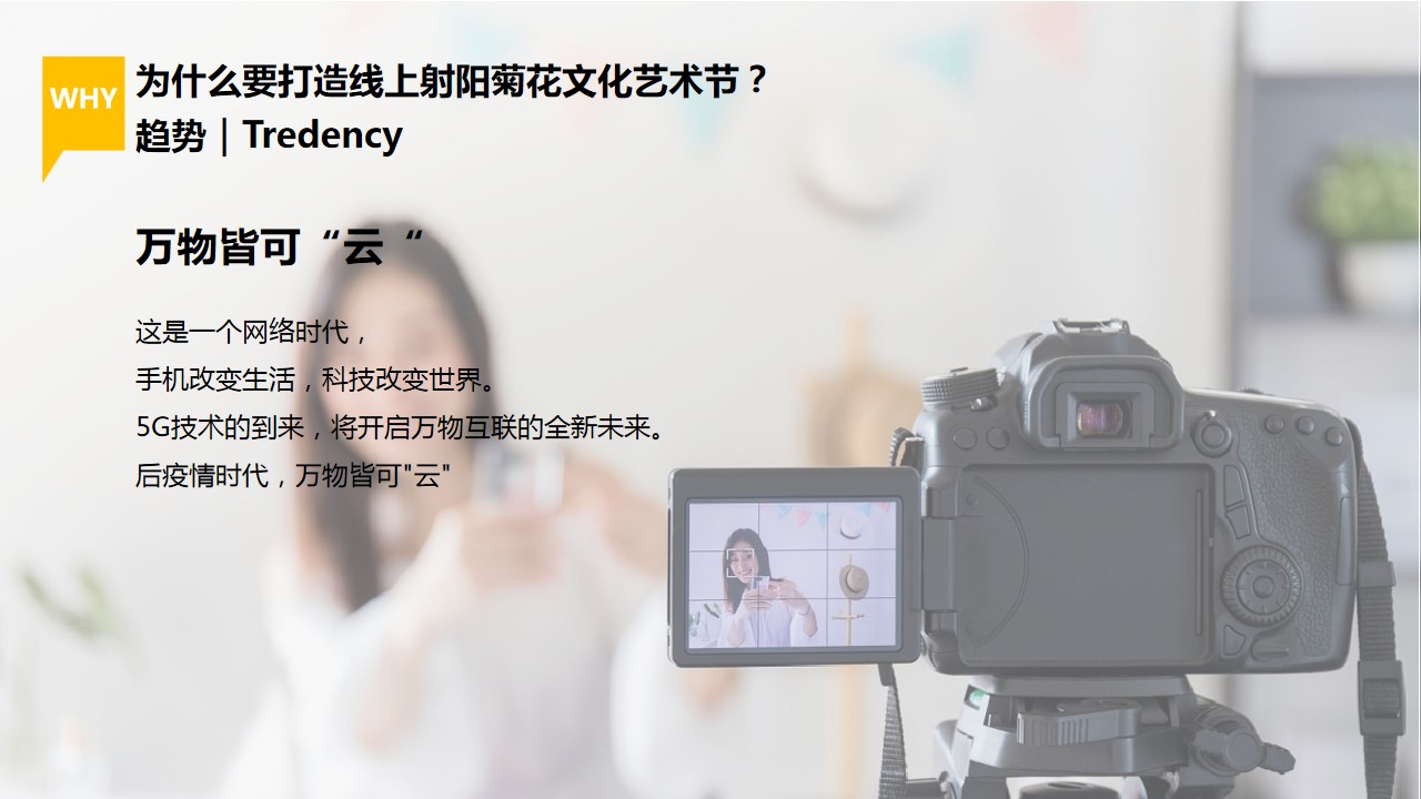 1685347847 a226fd4163bf13c - 第五届中国菊花文化艺术节-艺术节区域节庆产业节庆文化节