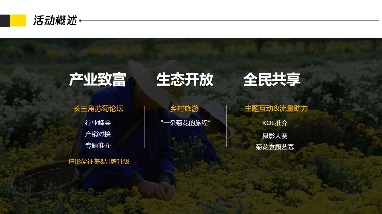 1685347868 0f927bc20e699d3 - 第五届中国菊花文化艺术节-艺术节区域节庆产业节庆文化节