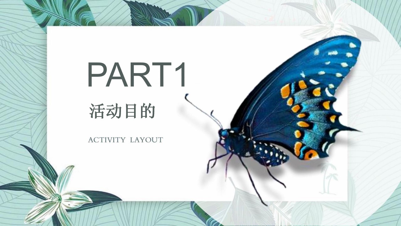 1685520365 dcfa053177d01f6 - 蝴蝶展活动方案