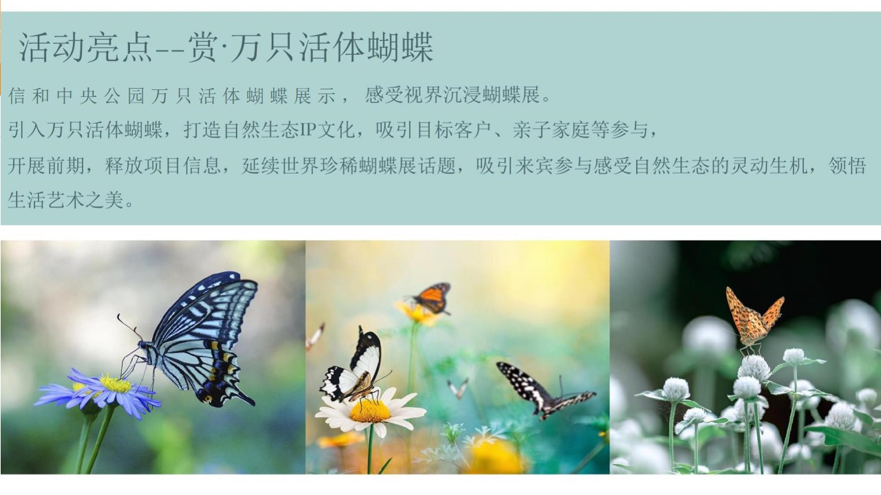 1685520383 42598eae9c79557 - 蝴蝶展活动方案