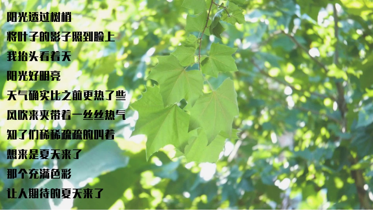 1685694830 a226fd4163bf13c - 《夏日入侵计划》七八月月度（运动会市集音乐会）周末活动