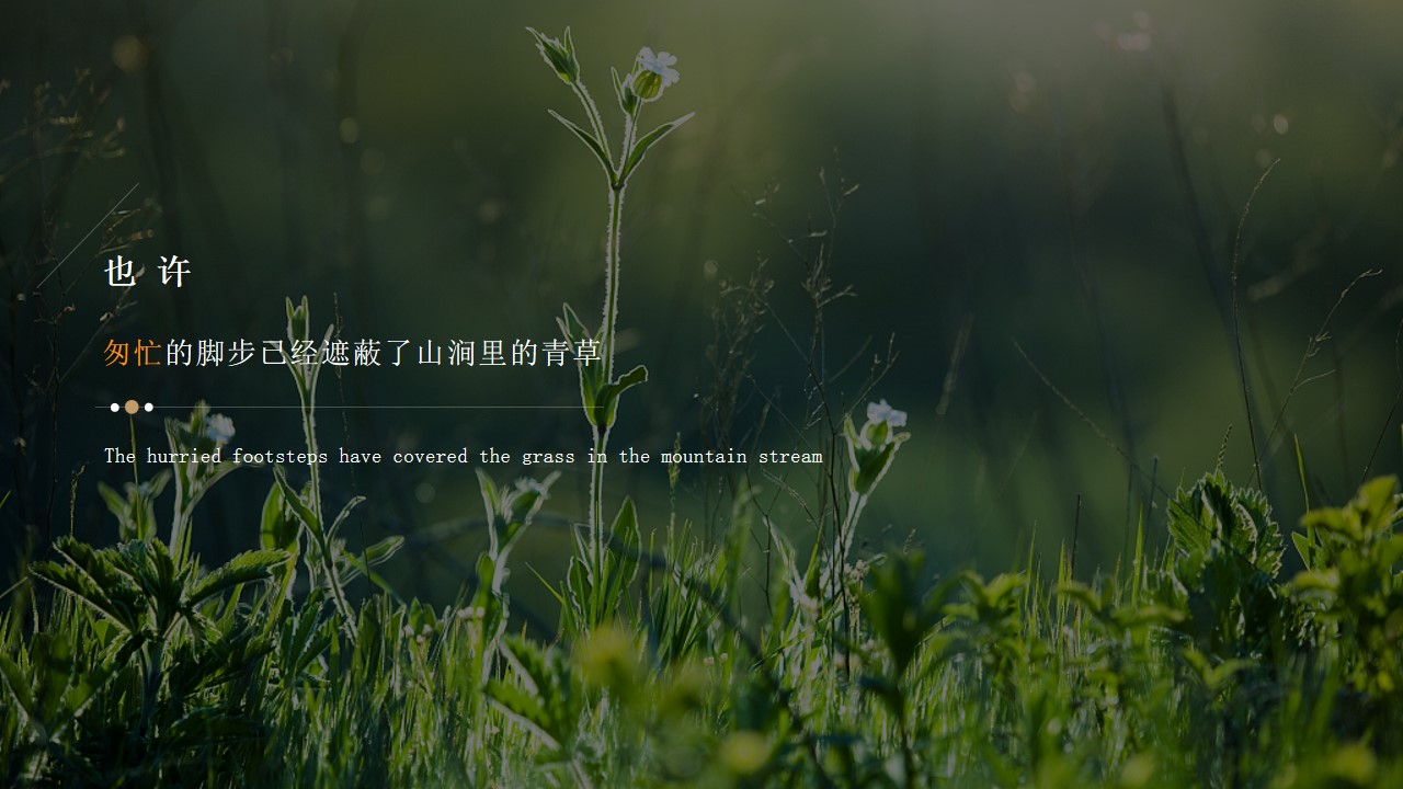 1685696280 b207e1016ea0a91 - 民宿项目商业策划方案