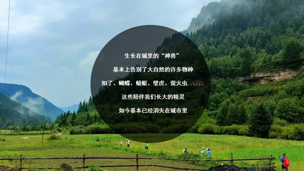 1685948970 a5edf932cf9929b - 618【爸气外露】父亲节夏季亲子家庭户外露营活动策划案