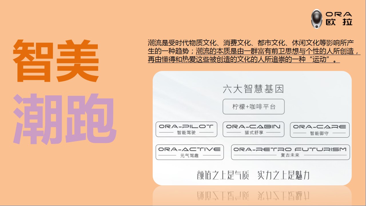 1685950929 a226fd4163bf13c - 欧拉好猫新车上市活动策划案