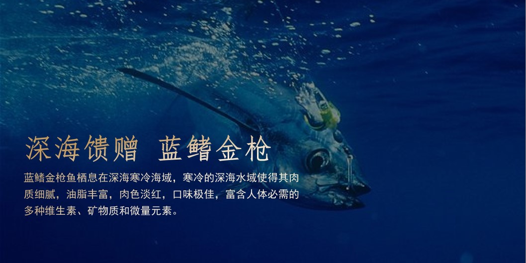 1686022890 50e3092c82ce78d - 蓝鳍金枪鱼品鉴会露营烧烤活动方案