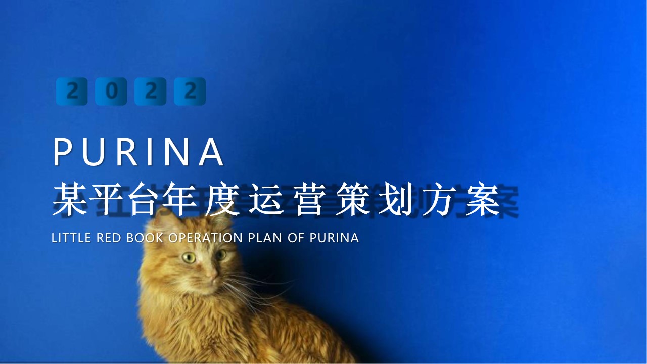 1686640358 561051a510bdcc5 - 宠物食品年度小红书营销传播运营规划方案宠物食品种草带货