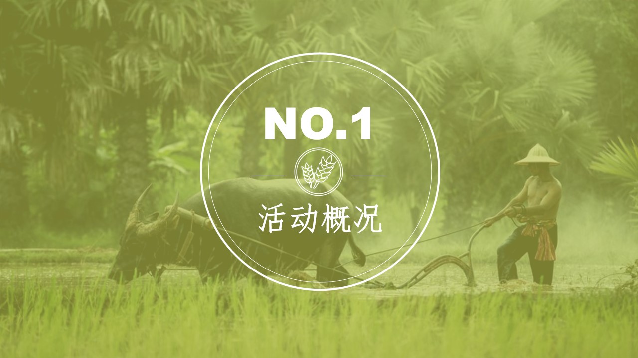 1686642820 50e3092c82ce78d - 首届琼山福稻节开幕仪式暨开镰仪式（风吹稻浪 福稻飘香主题）活动策划方案