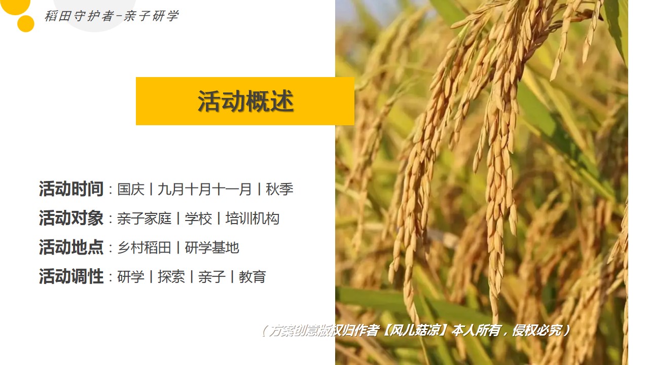 1687328667 42598eae9c79557 - 稻梦空间—国庆节秋季九月十月乡村农场稻田亲子研学教育体验方案