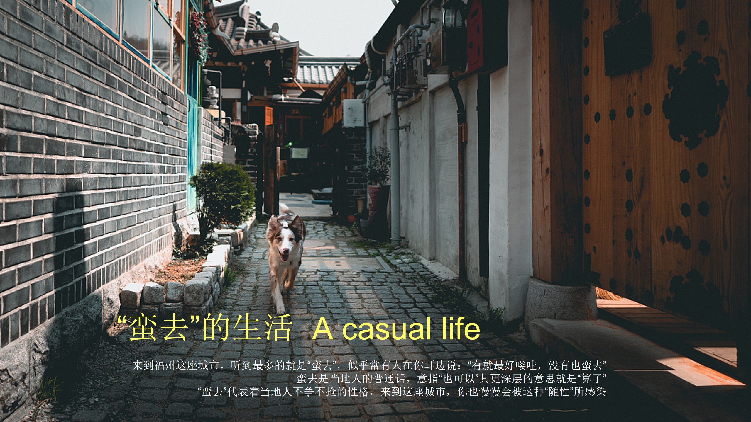 1687922823 0f927bc20e699d3 - 沉浸式品牌发布盛典