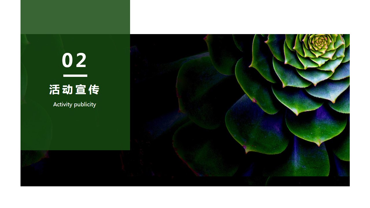 1688621780 0f927bc20e699d3 - 西门子家电居然之家旗舰店开业方案