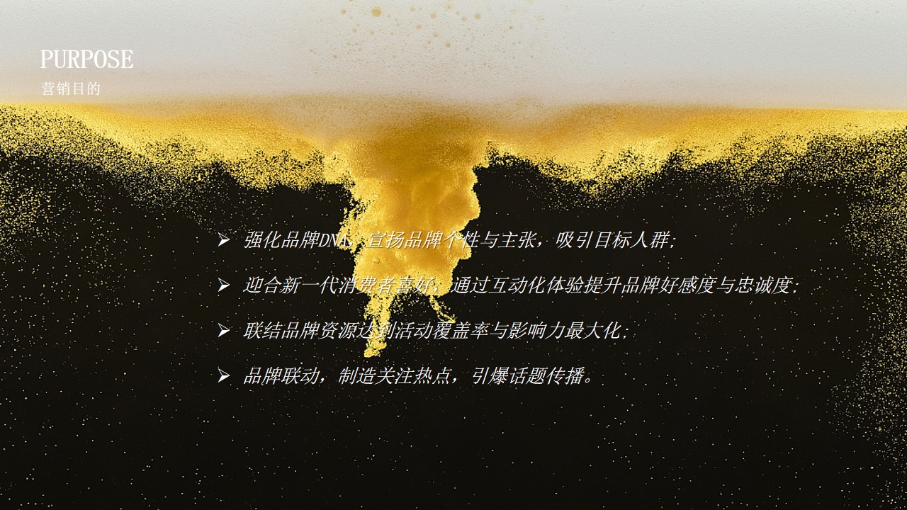 1689062693 a226fd4163bf13c - 雪花啤酒线上推广品牌传播整合营销方案