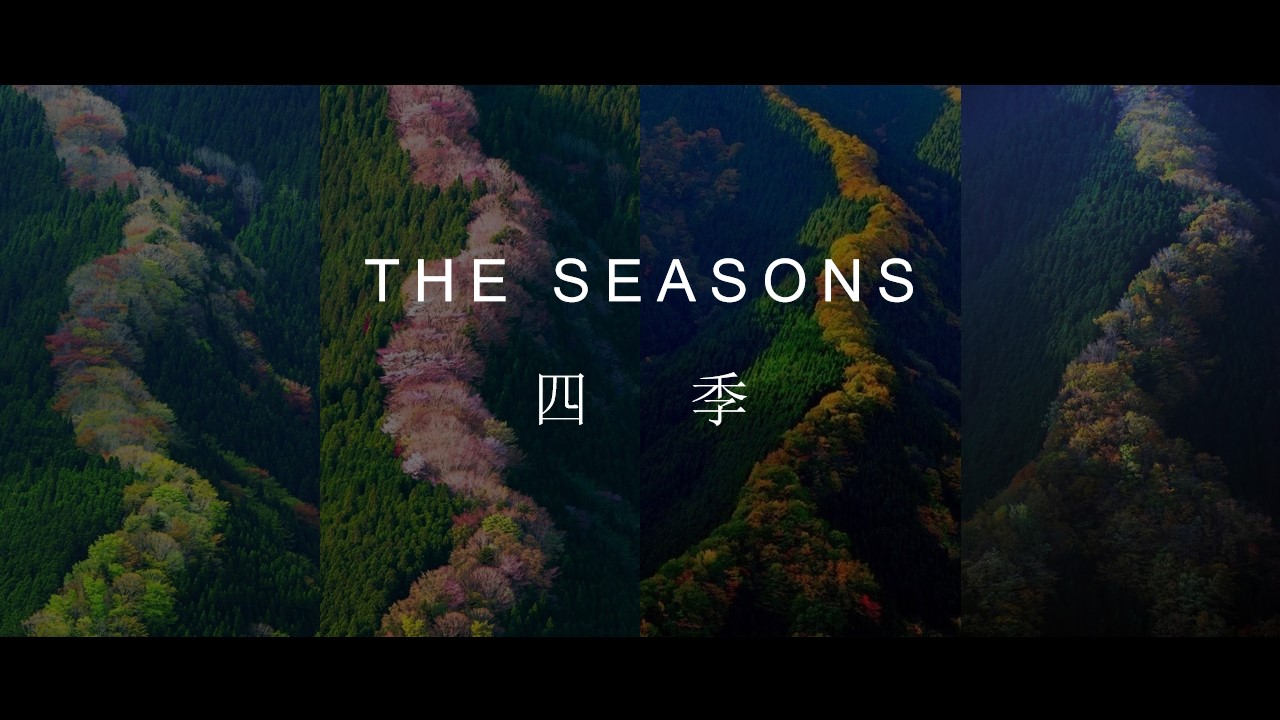 1689832510 b207e1016ea0a91 - 商场商业时装走秀活动方案