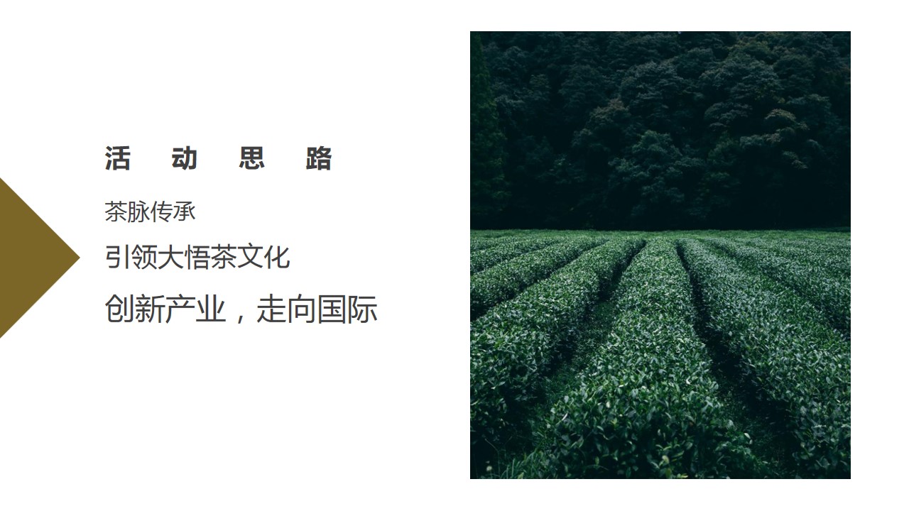 1690267554 d14efb4b491c1b2 - 中国·大悟首届茶文化旅游节活动策划方案-75P