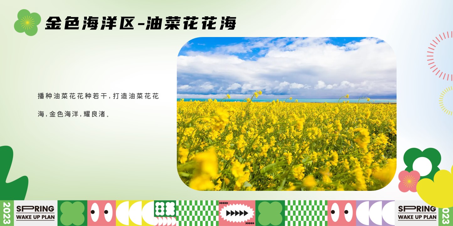1690525438 0f927bc20e699d3 - [星河花海聚场]主题包装方案