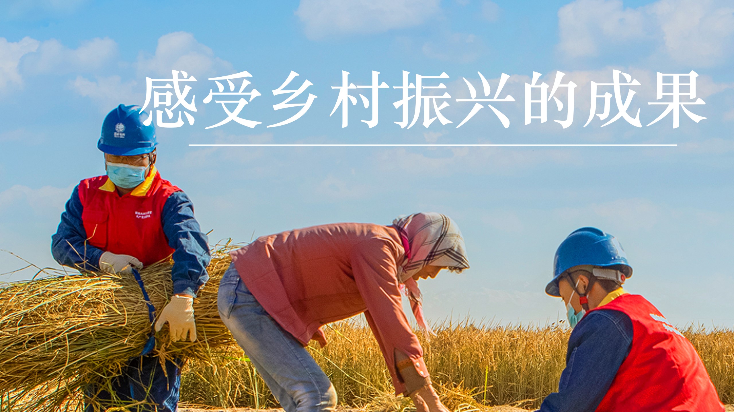 1691030742 a226fd4163bf13c - 中秋金秋乡村农村丰收节露营活动