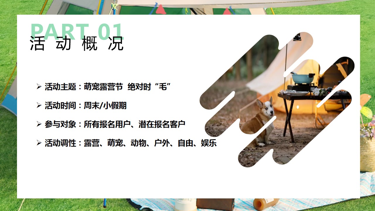 1691460273 0f927bc20e699d3 - 萌宠露营野餐音乐户外活动策划案