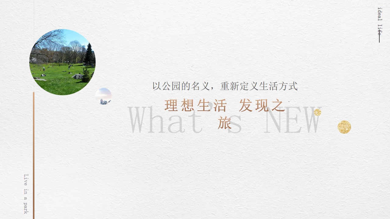 1691546385 0f927bc20e699d3 - 示范区开放线上线下全案